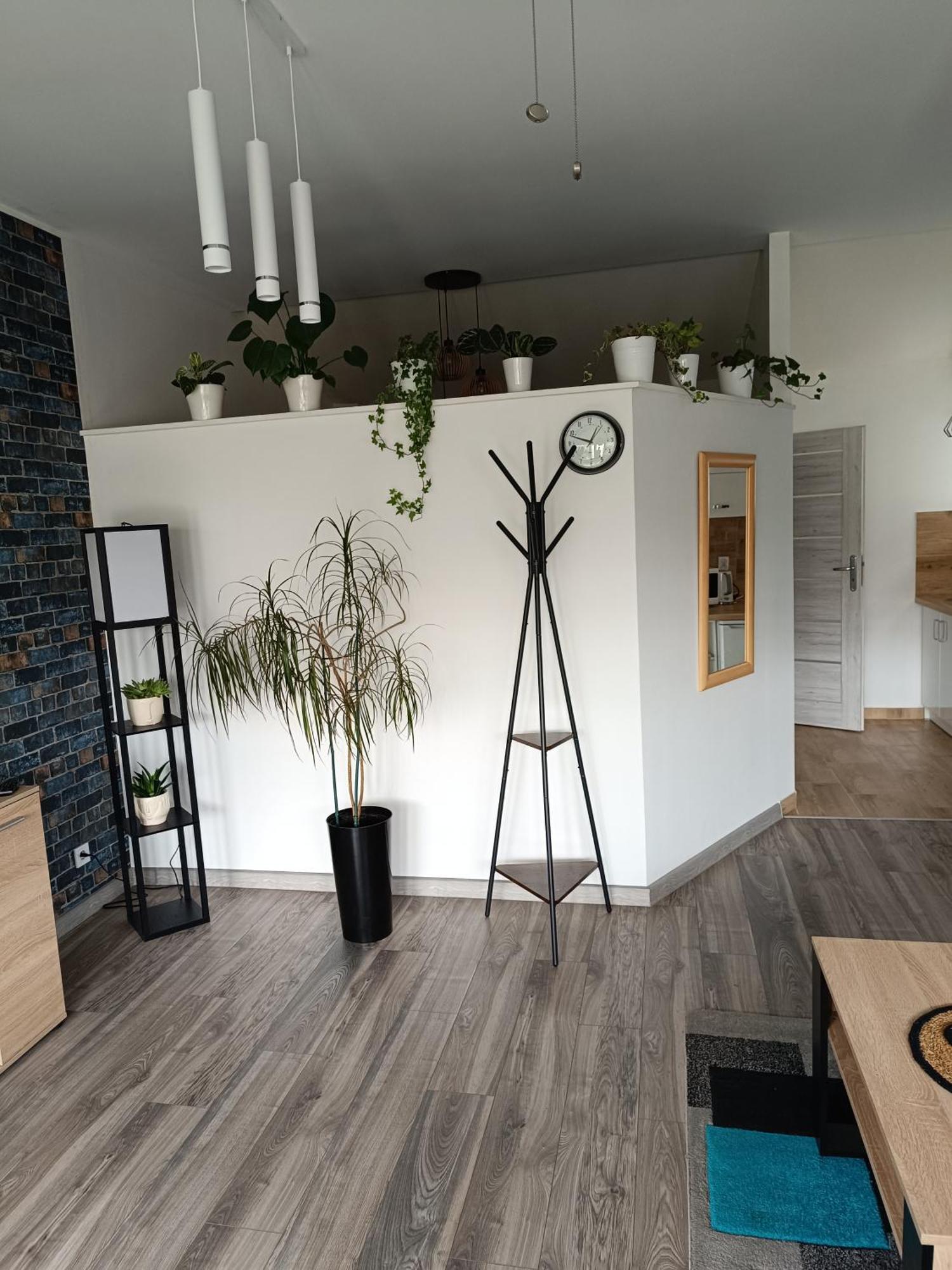 Apartament Przy Bialym Koniu คอซซาลิน ภายนอก รูปภาพ